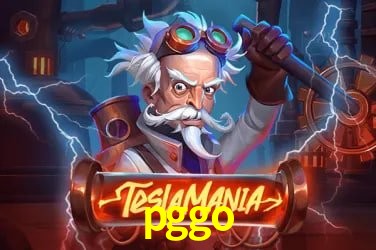 Experiência VIP pggo